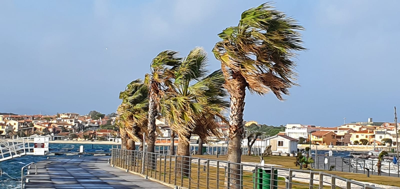 Gallura, ancora vento forte: raffiche fino a 84 km/h