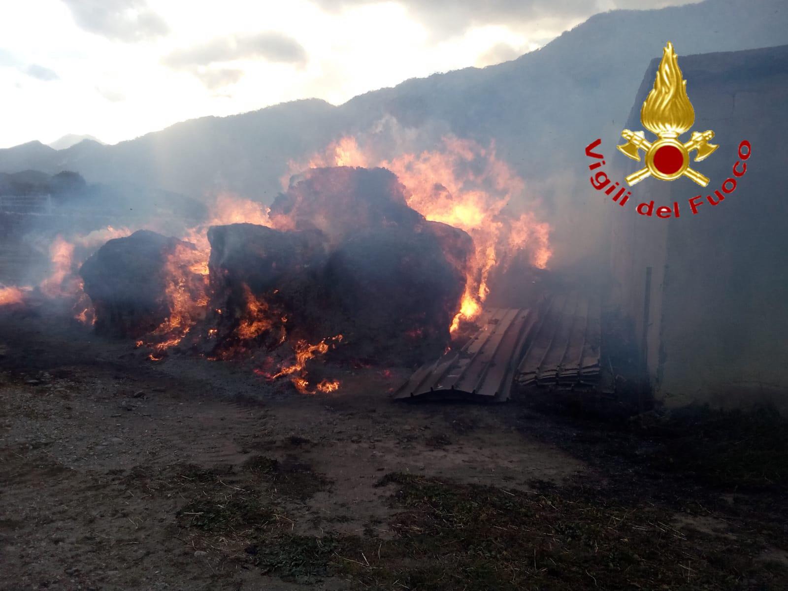Pagliaio distrutto dalle fiamme: capannone salvo grazie ai Vigili del Fuoco