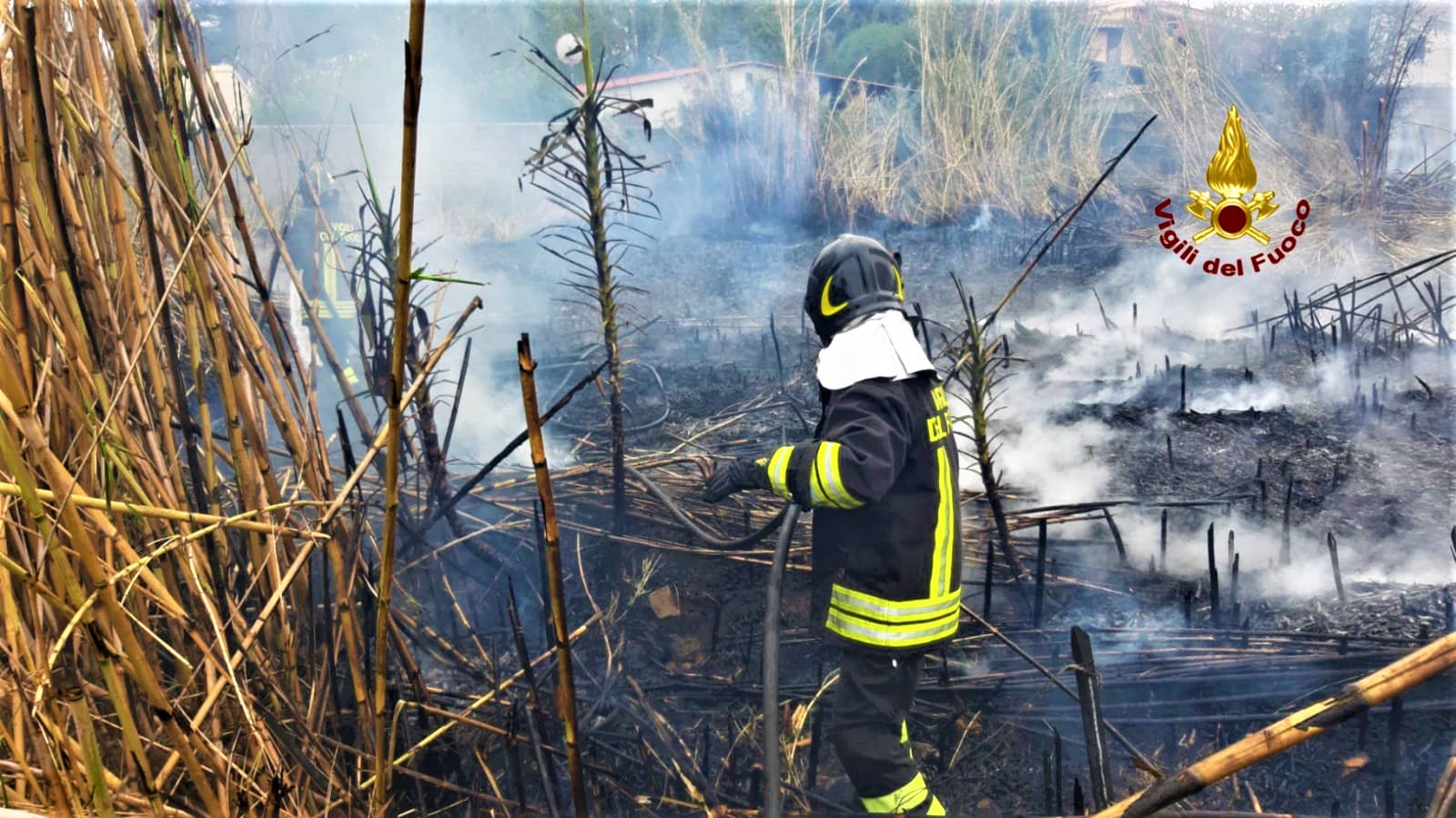 Vasto incendio in un canneto, fiamme lambiscono abitazioni