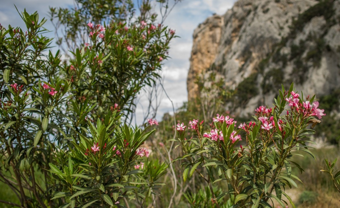Sardegna, ambiente: un milione e 800mila euro per parchi regionali