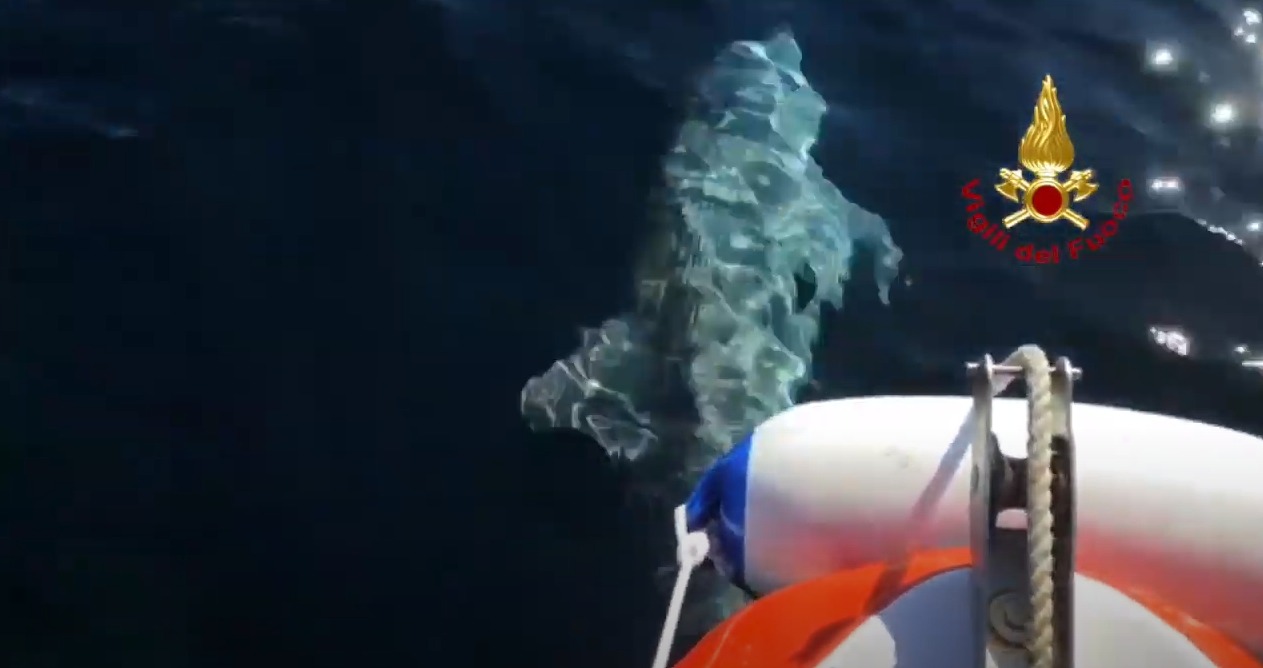 *VIDEO* I delfini scortano i Vigili del Fuoco: la magia del mare sardo
