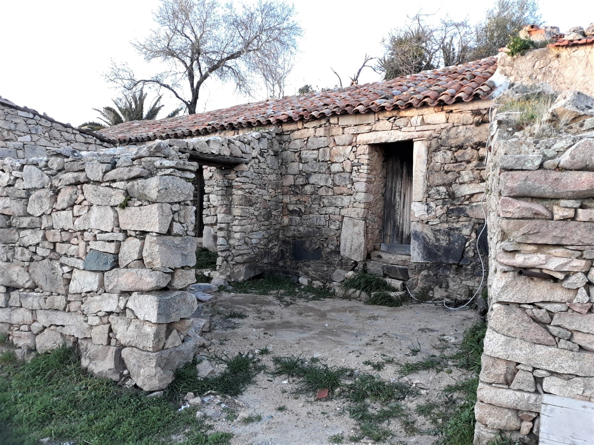 La bottega di Zia Vittoria - di Corrado Seddaiu