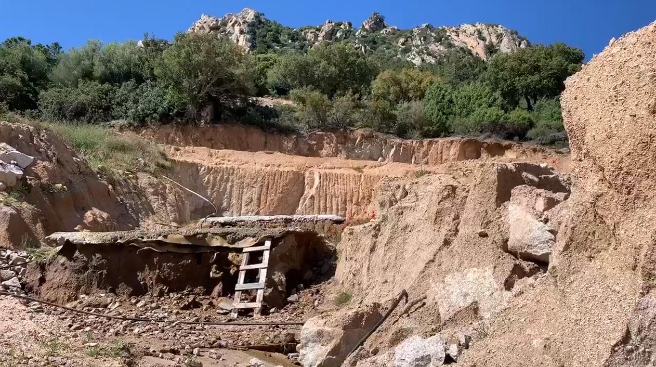 Olbia, a passeggio per funghi nel cantiere di Monte Pino: 3 olbiesi denunciati