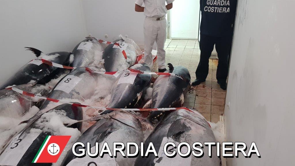 Olbia: sequestrati 11 esemplari di tonno rosso e 9.500 euro di multa