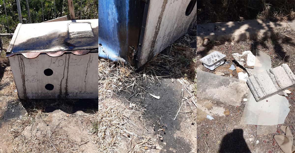 Attentato alla Micio-Favelas: cuccia cosparsa di olio bollente