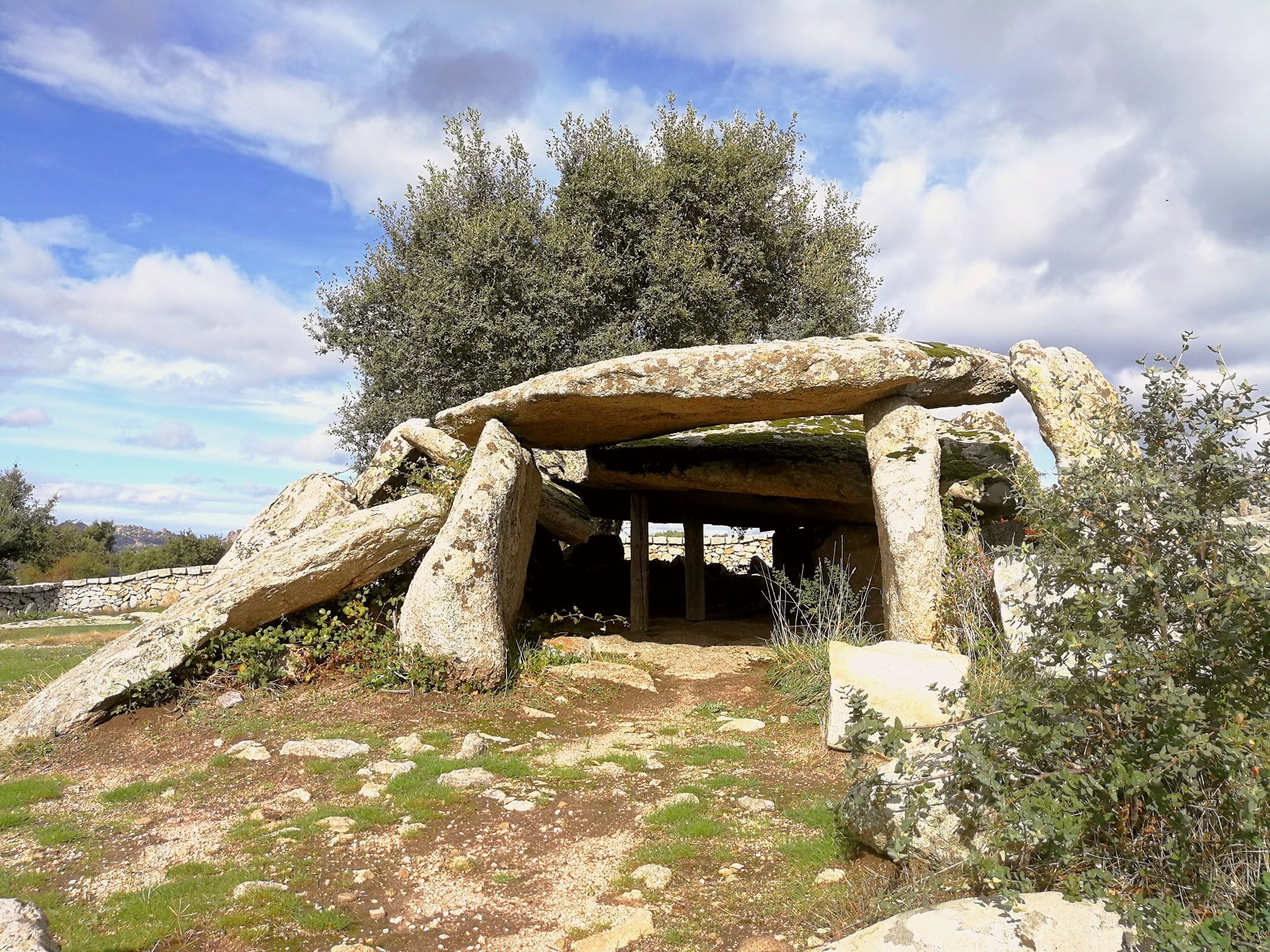 Luras: tanta storia tra olivastri millenari e dolmen