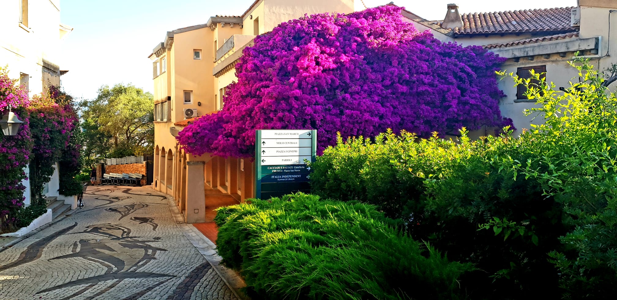 Porto Rotondo riparte tra fiori, nautica e Festival