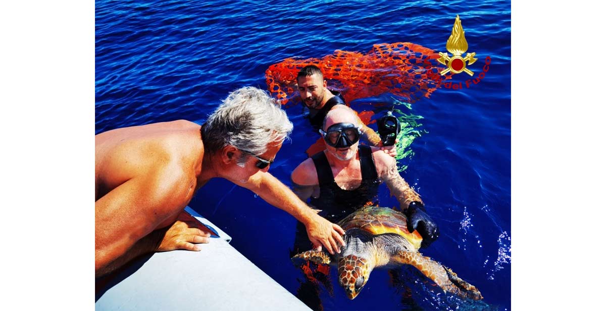 Tartaruga marina salvata dai Vigili del fuoco