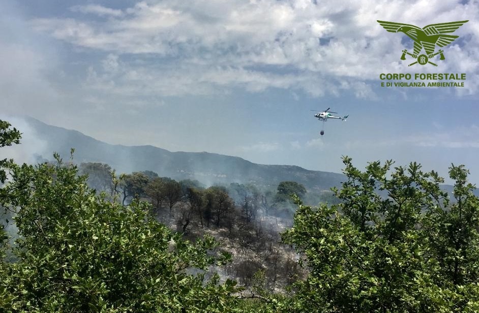 Incendio a Telti: elicottero in azione