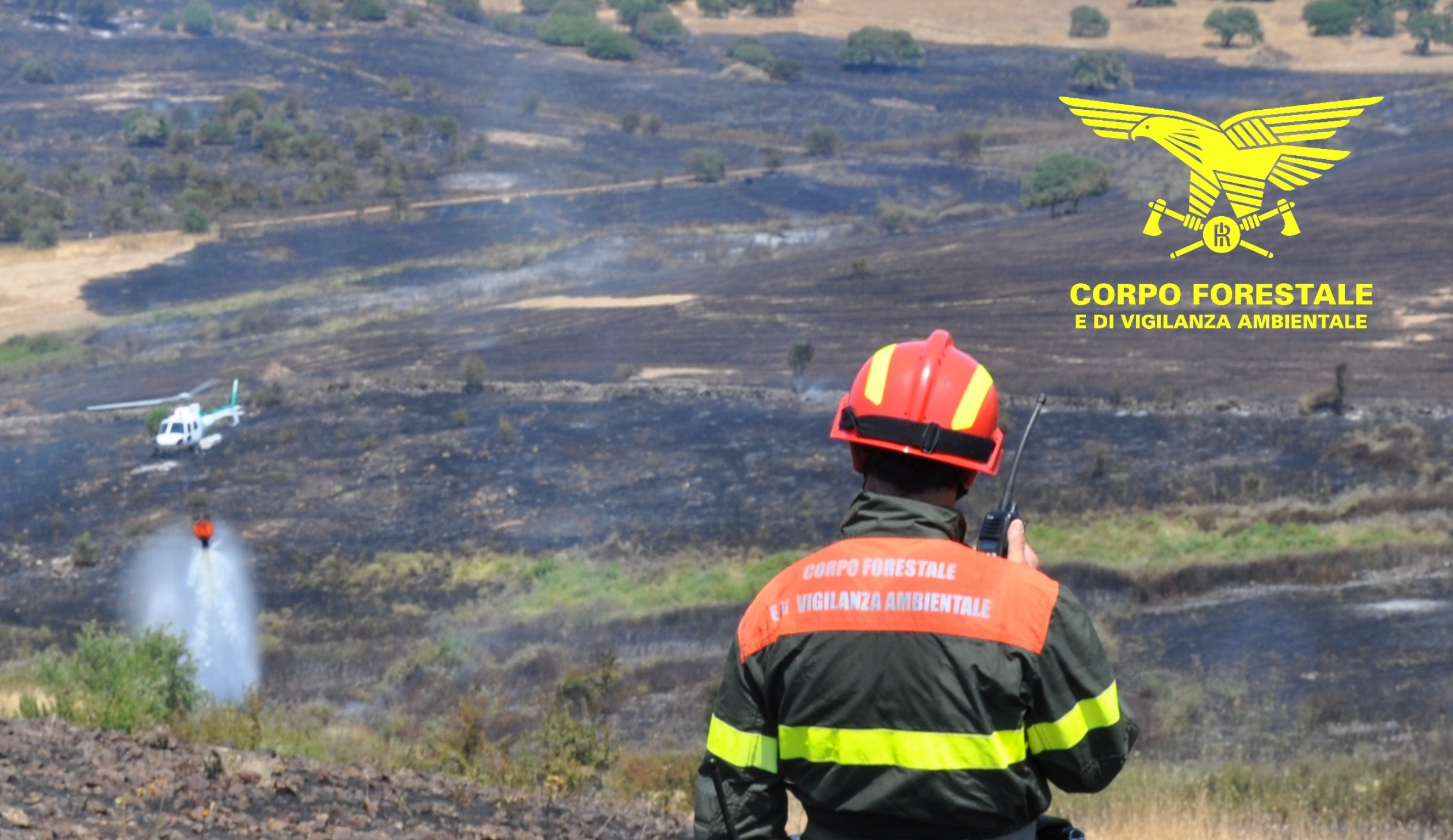 Incendio a Luogosanto: un ettaro in fumo