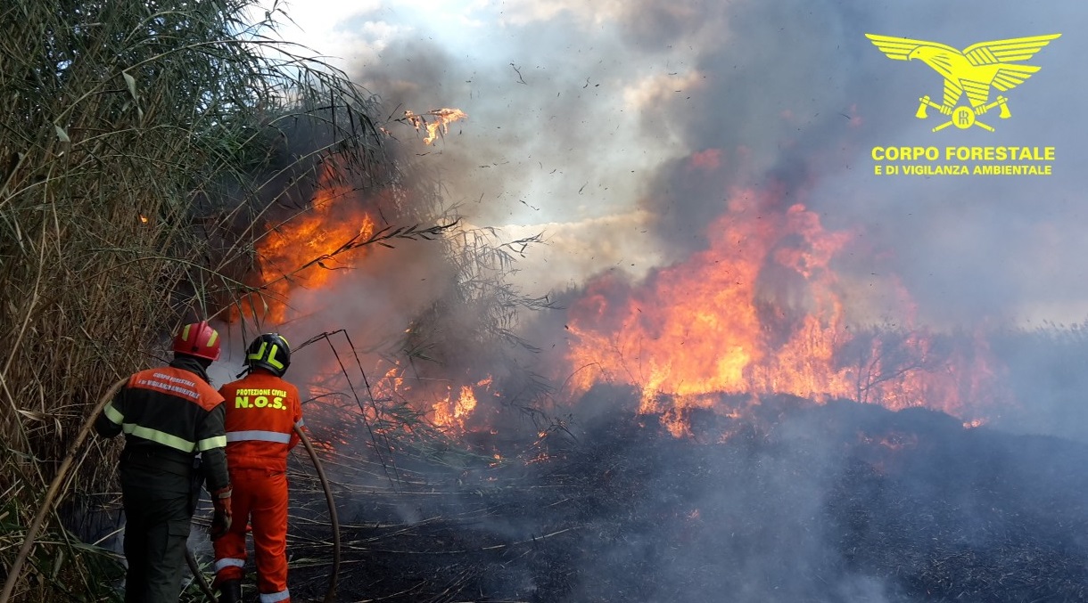 Incendi ad Aglientu, Torpè, Uras: elicotteri in azione