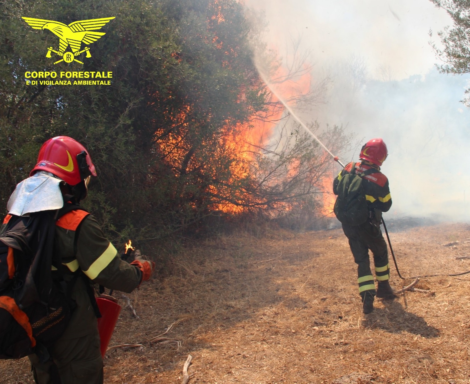 Incendio nelle campagne: in azione 4 elicotteri