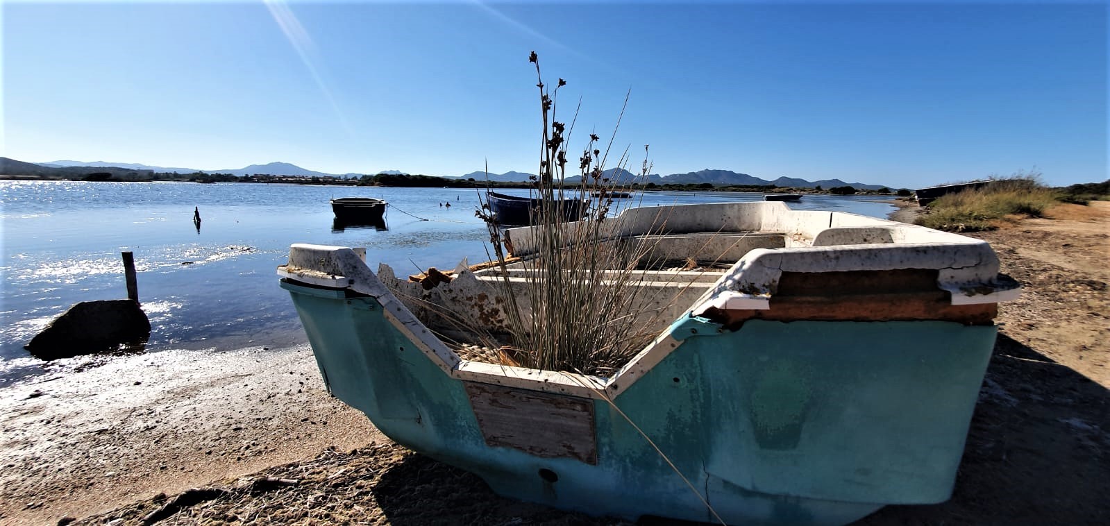 Olbia: a Marina Maria un cimitero di barche