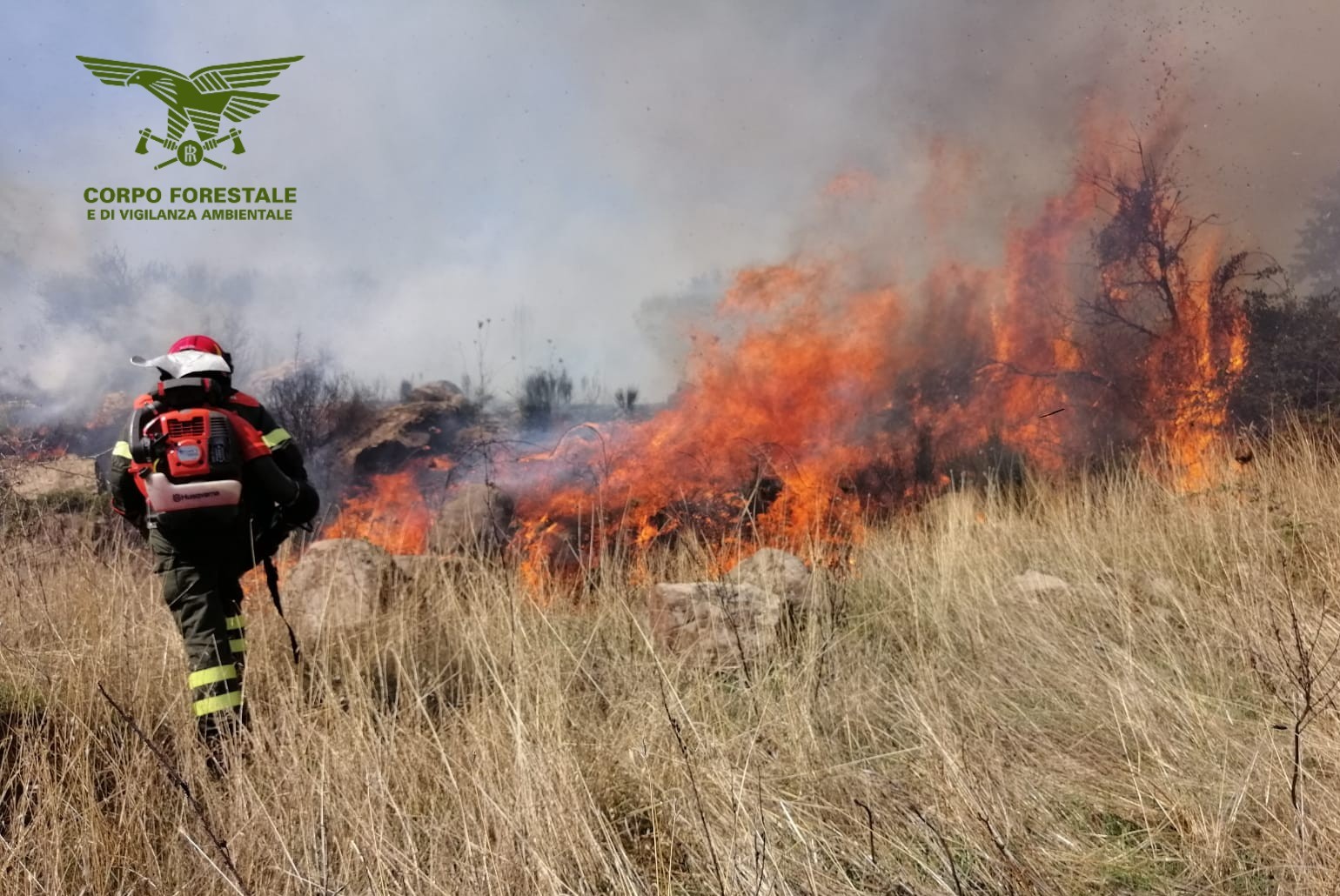 Incendio a Posada: elicottero interviene con 31 lanci