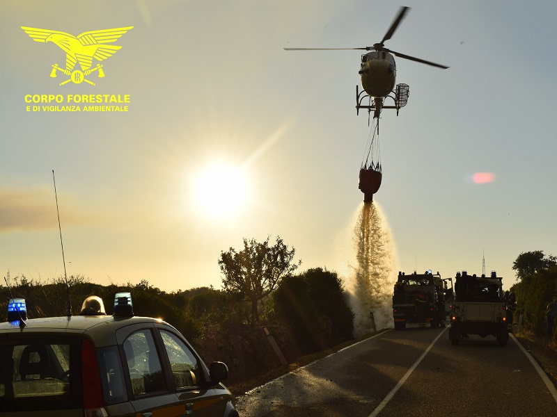 Sardegna continua a bruciare: elicotteri in volo