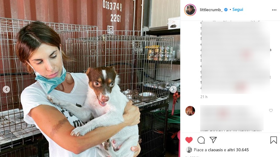 Olbia: Elisabetta Canalis adotta un cane alla Lida