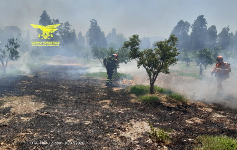 Sardegna brucia, oggi 21 incendi: per 6 intervento del mezzo aereo