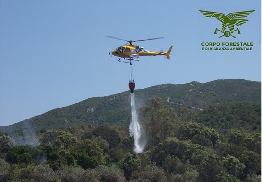 Tempio: incendio a Curraggia