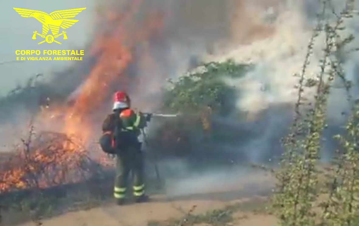 Incendio ad Aglientu, in azione un elicottero