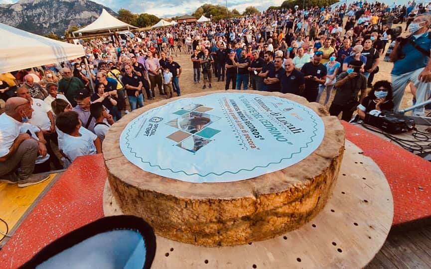 Guinness World Record: premiato il pecorino più grande al mondo