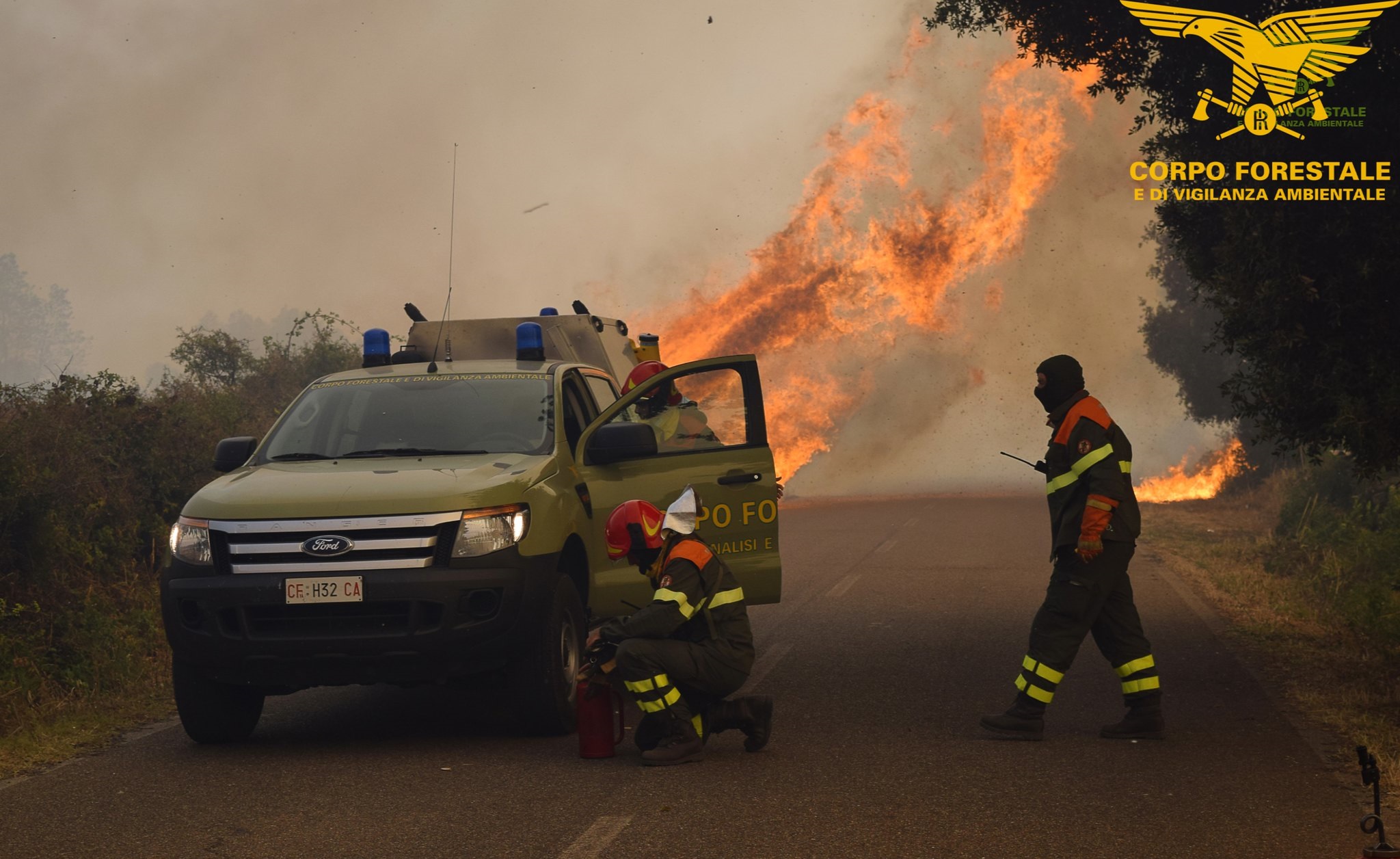 Incendio Buddusò: in fumo 3 ettari di sugherete