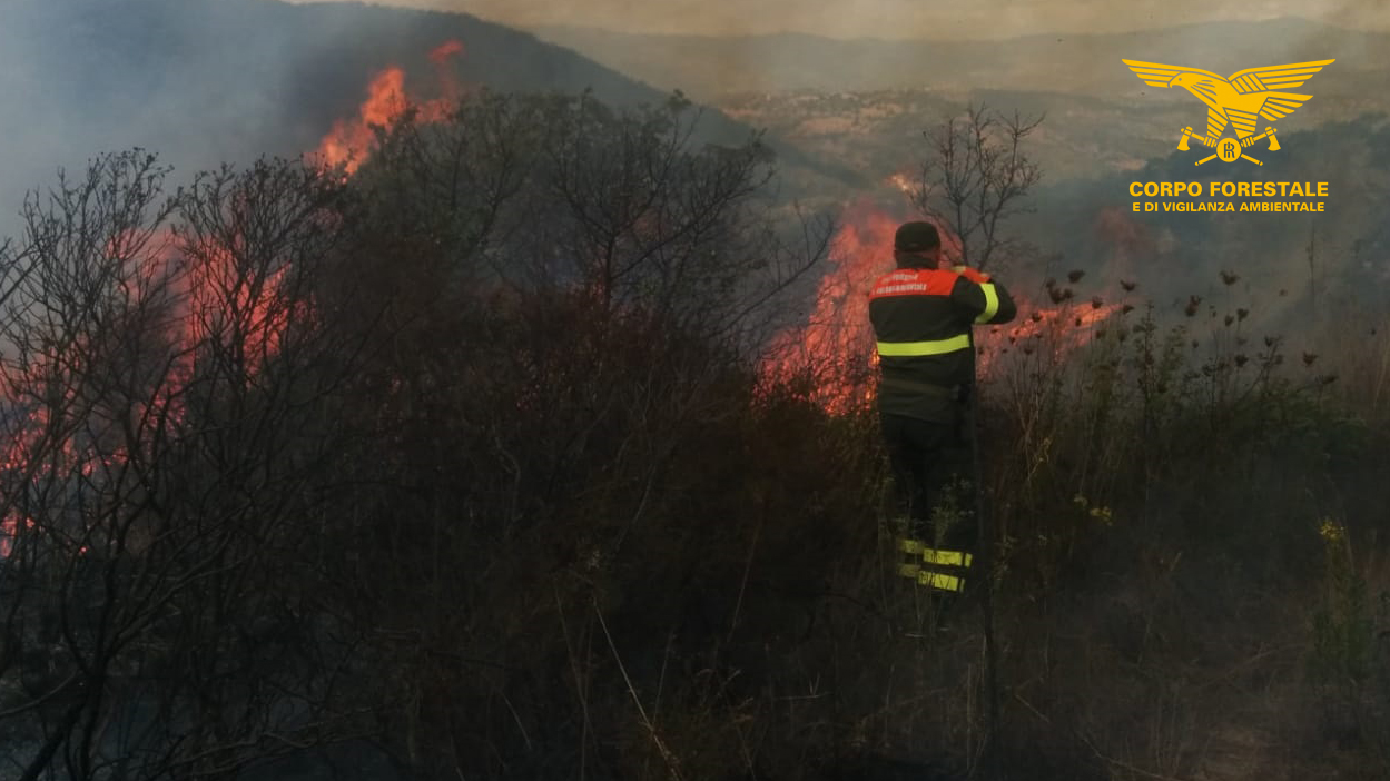 Olbia, incendio in corso: Corpo forestale in azione