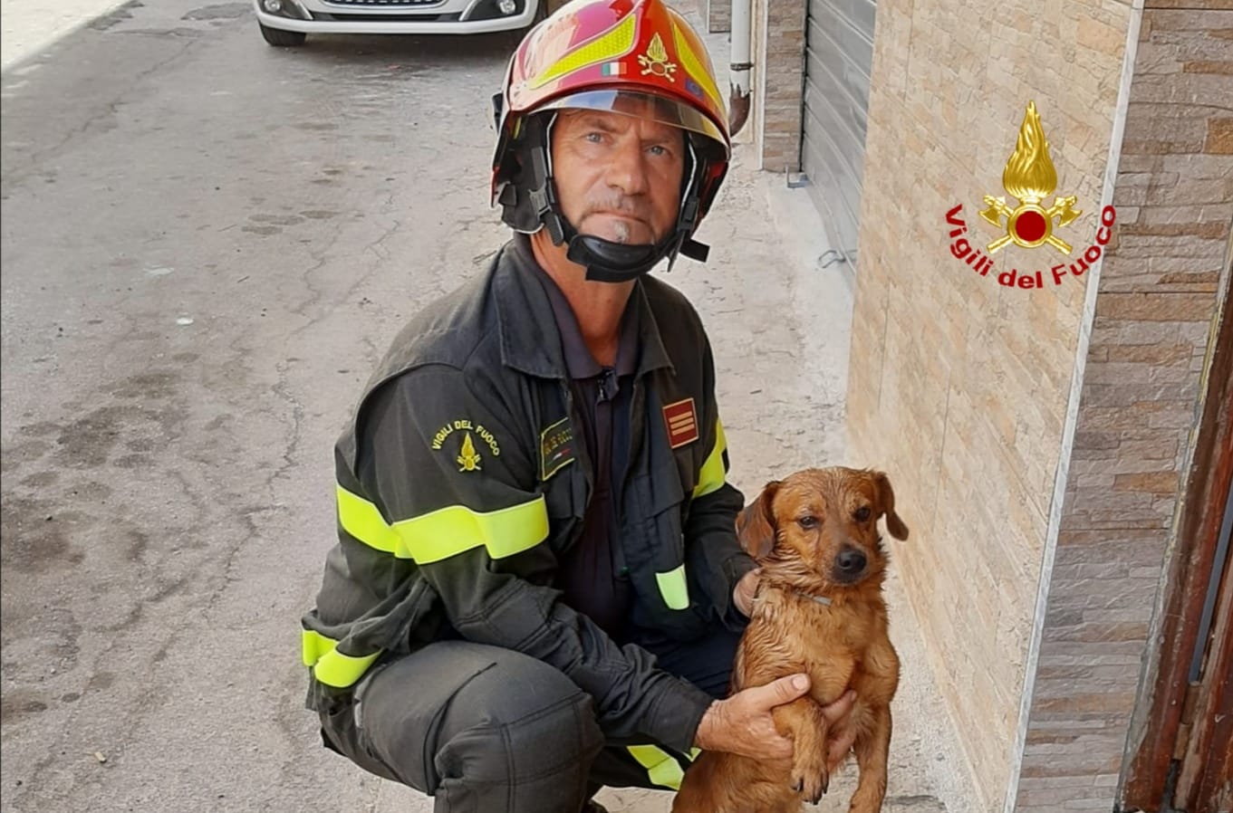 Appartamento a fuoco: salvati animali domestici