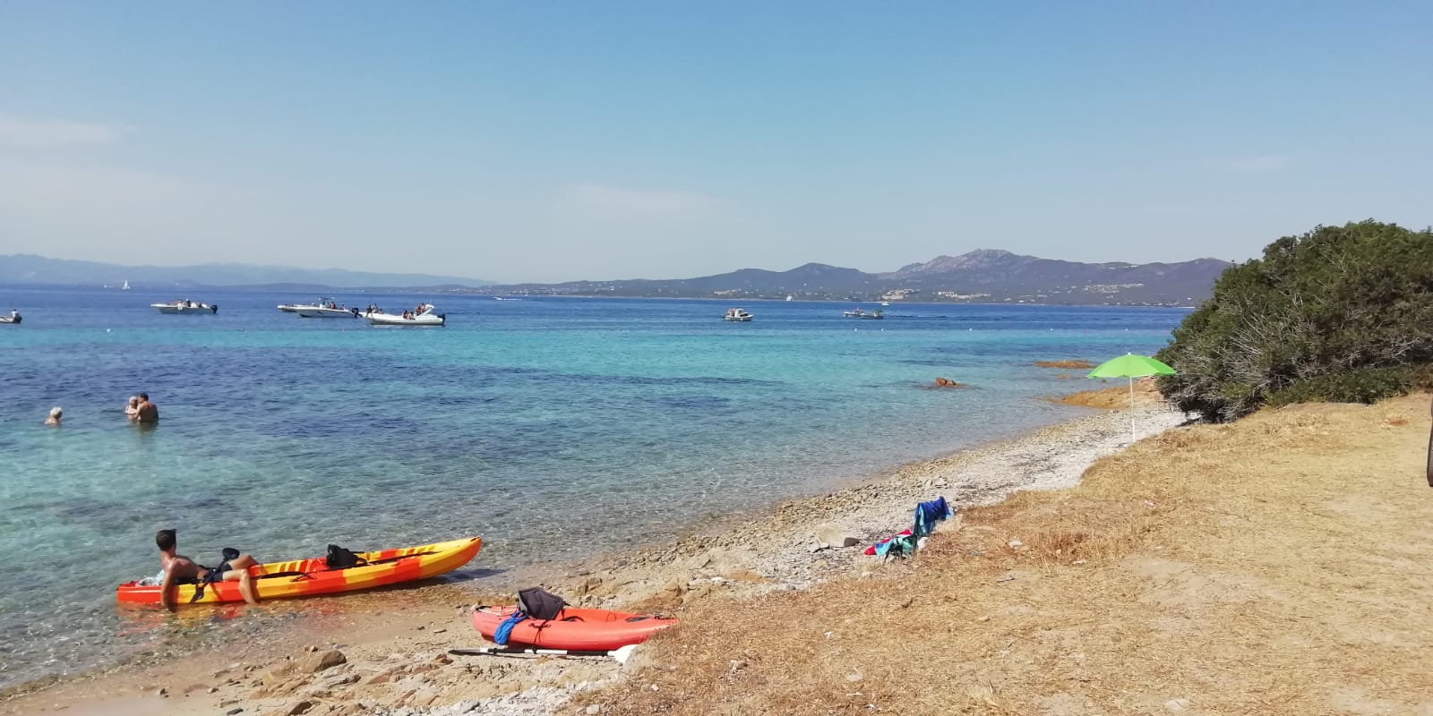 Golfo Aranci, ostriche ai Baracconi: Ministero chiede controlli