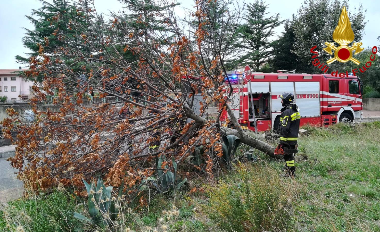 Maltempo nel Nuorese: crolli alberi e incendi  di natura elettrica