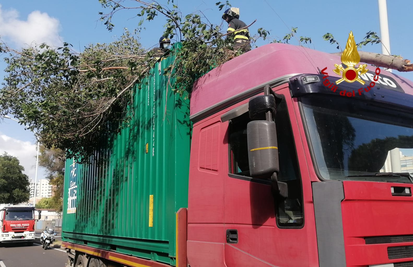 Camion sbatte contro grosso ramo: intervengono i VVF