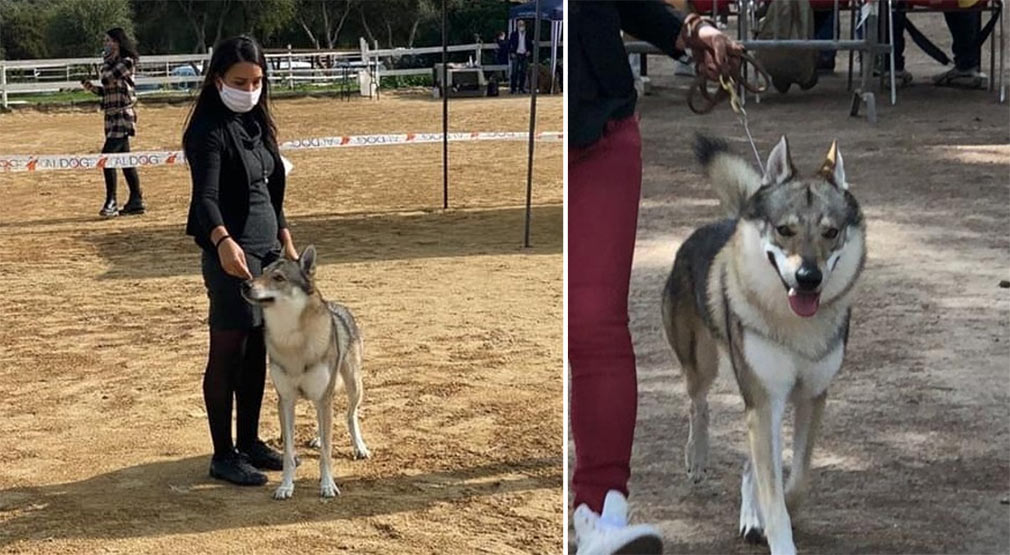 Olbia, ecco Bruce e Claudia Milia: il sogno del titolo italiano!