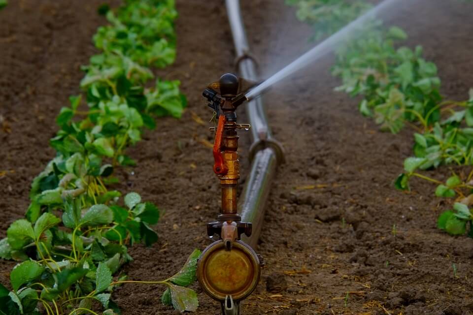 Olbia, manutenzioni straordinarie agli impianti irrigui: possibili cali di pressione e sospensioni dell’acqua