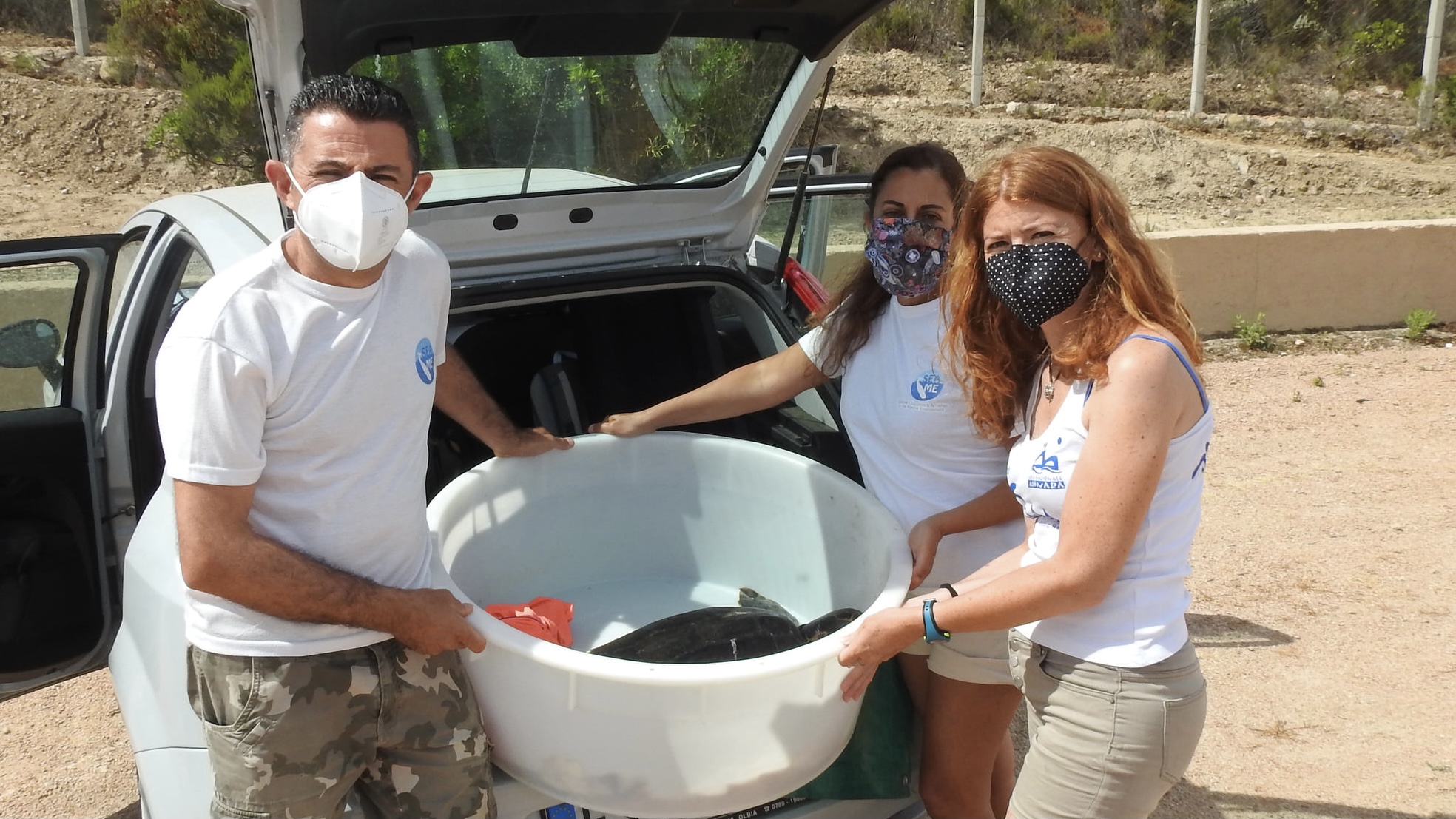 La Maddalena, soccorsa tartaruga marina: era ferita gravemente