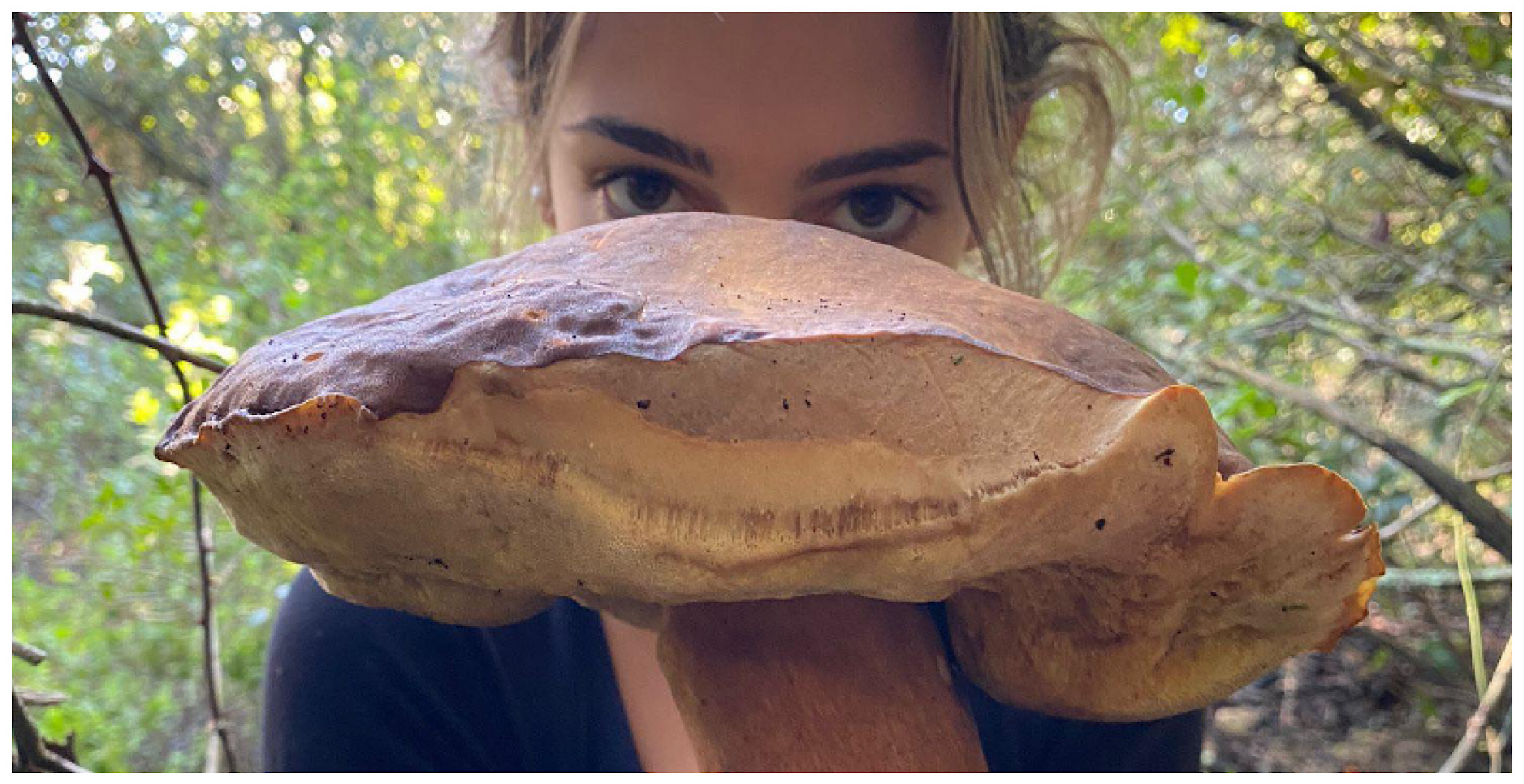 Gallura, tempo di funghi: da Calangianus un porcino record