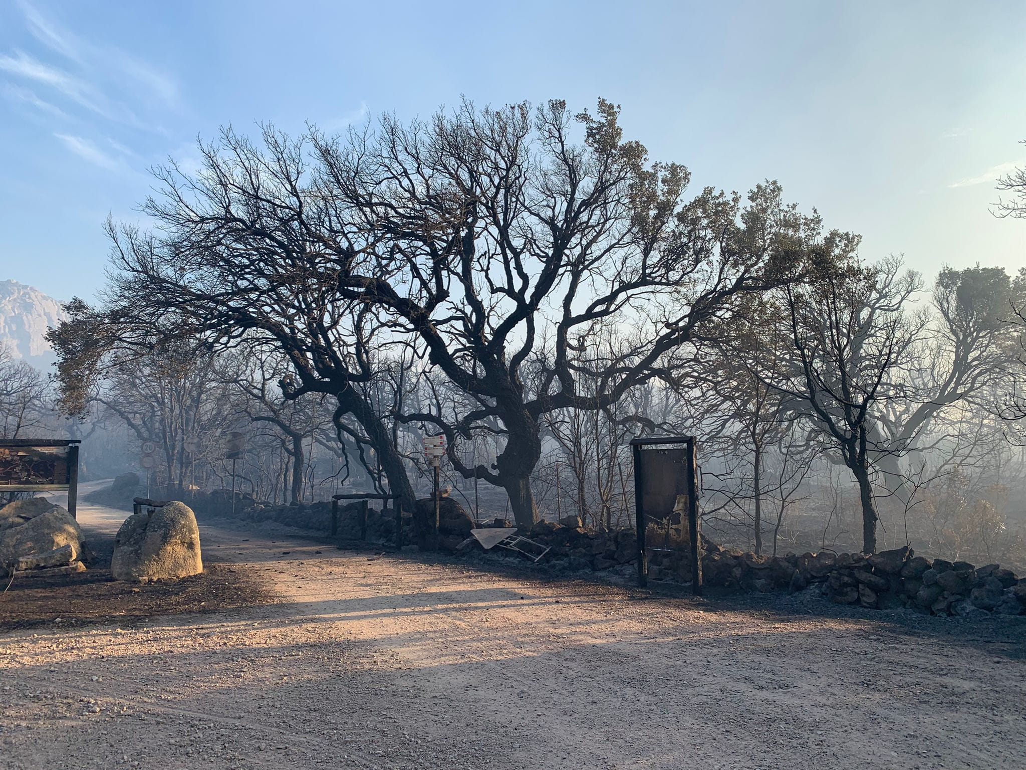 Incendio Calangianus, parte la bonifica: 