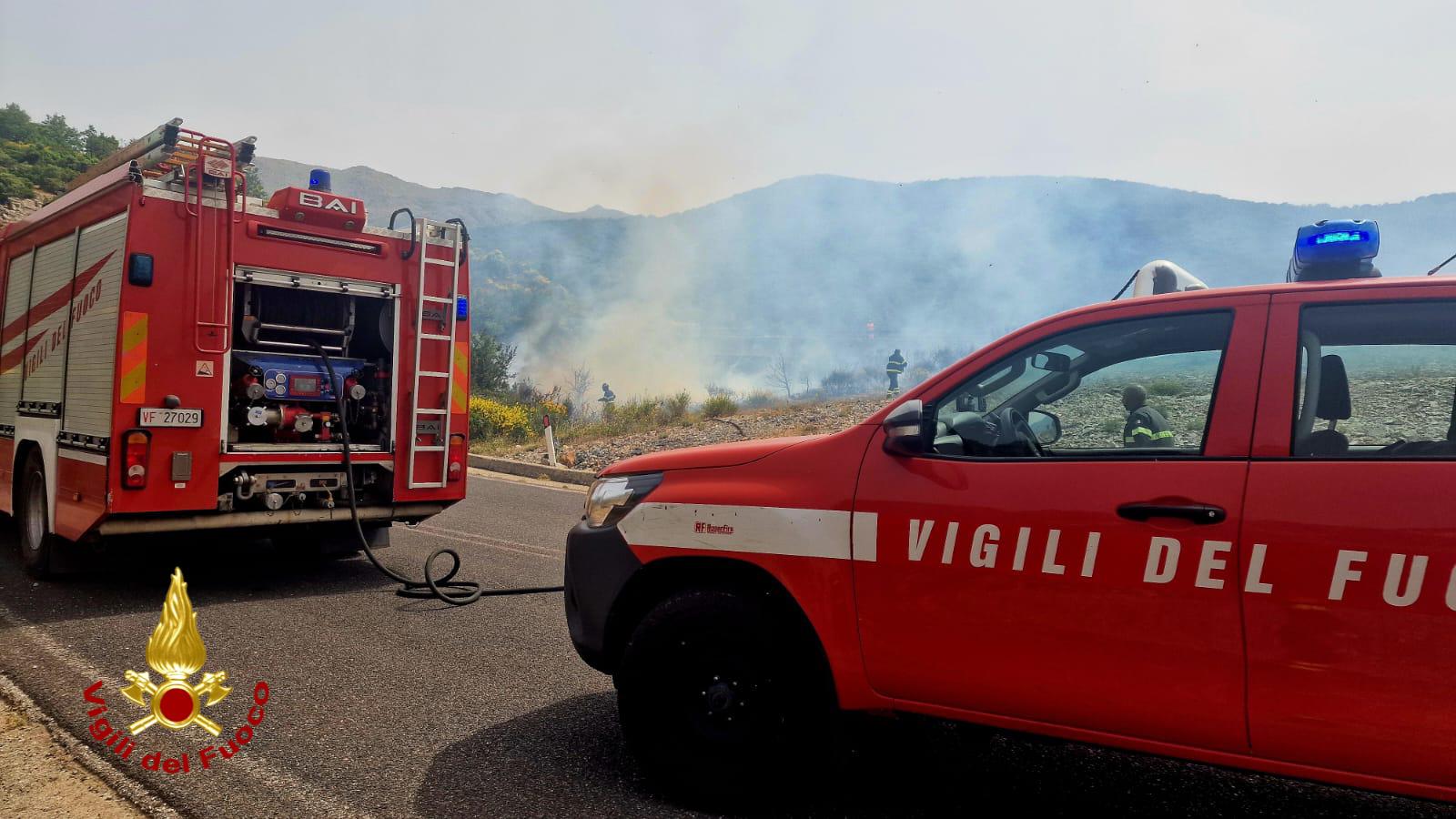 Vasto incendio lungo la sp 44: ore di lavoro per i vigili del fuoco