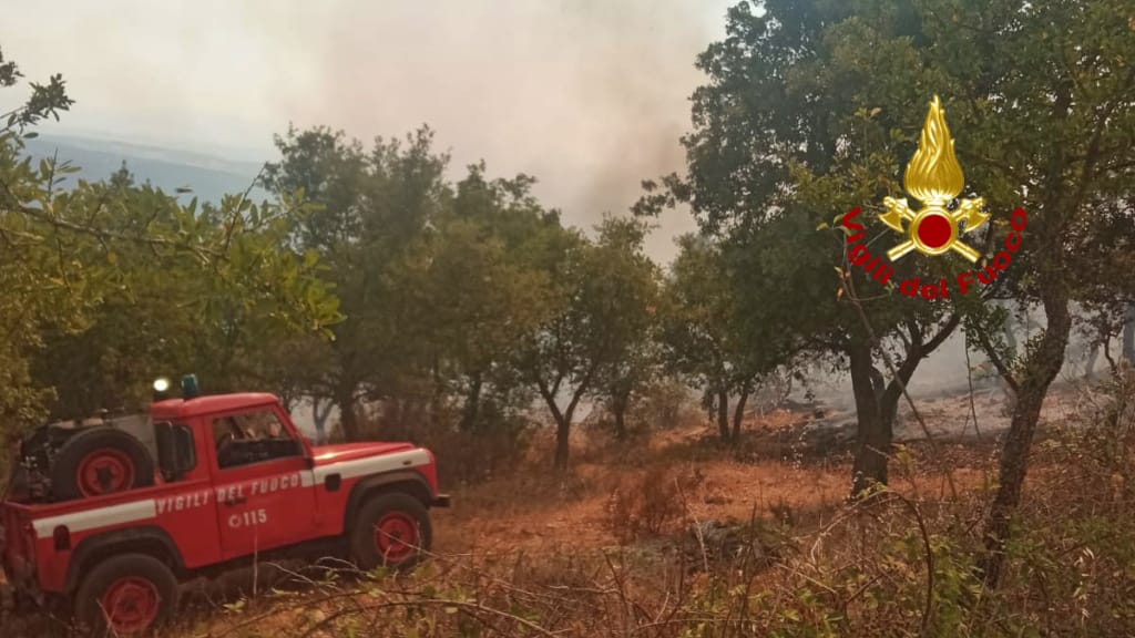 Città dell’Olio per incendi Montiferru: una rete di solidarietà e sostegno