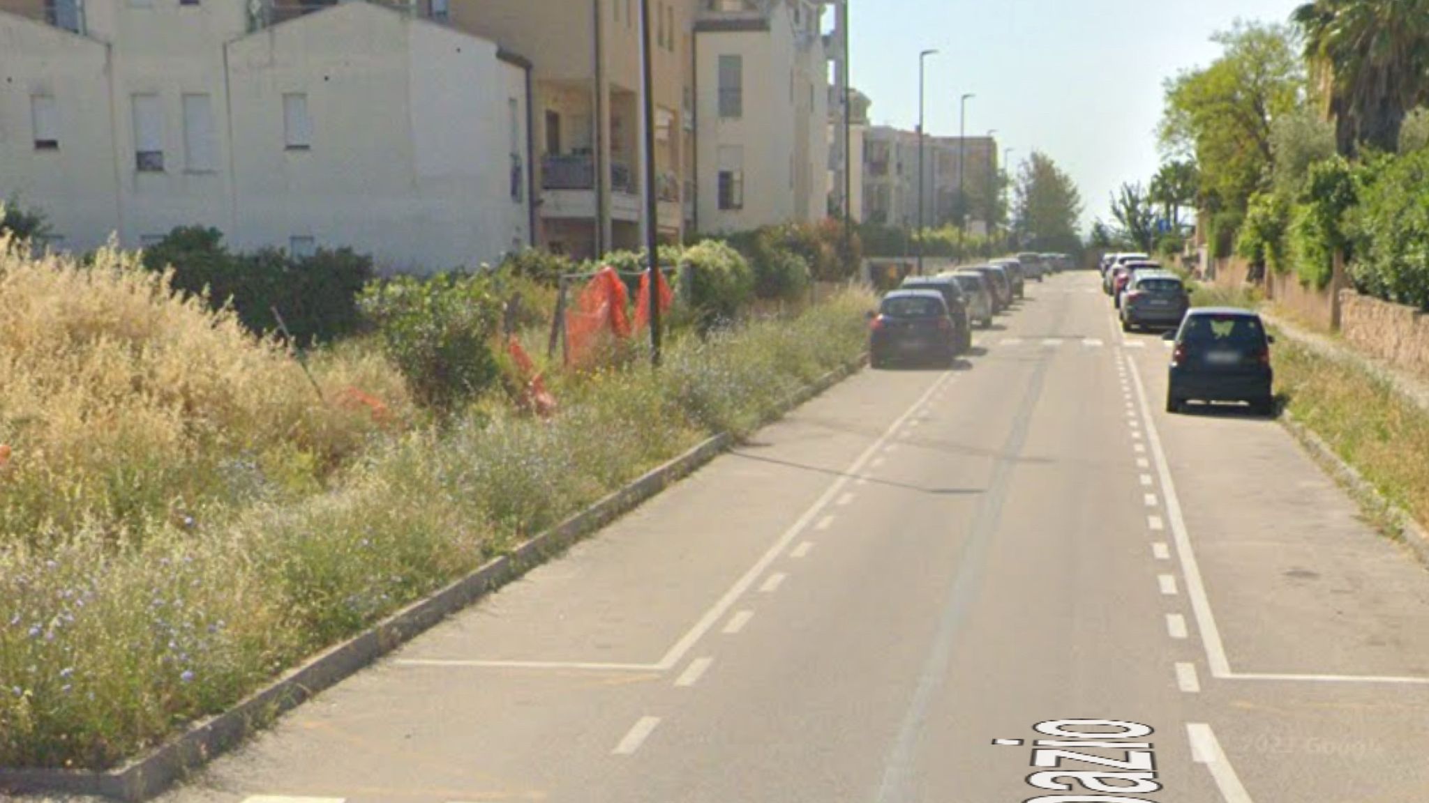 Olbia, erba alta in via del Topazio: 