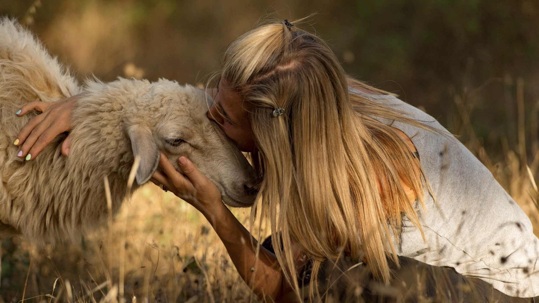 Un rifugio speciale per gli animali salvati dal macello: 