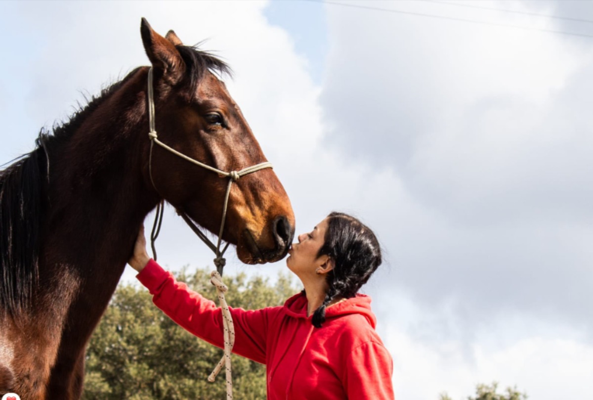  Alessia Corbu e il Rifugio di Telti: l'unico santuario per animali in Sardegna