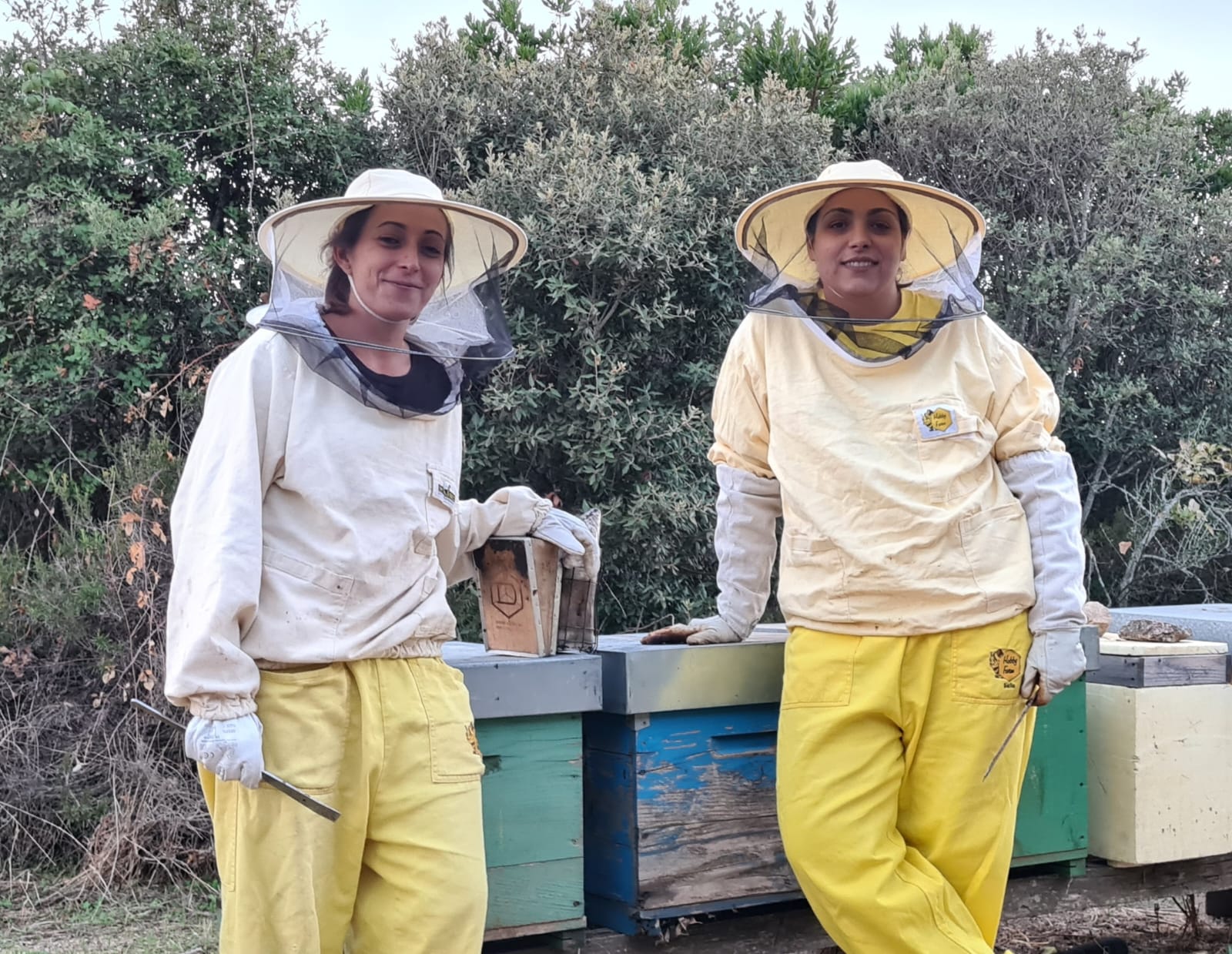 A Olbia torna il Mercato contadino: intervista all'apicoltrice Maria Stefania Pinna