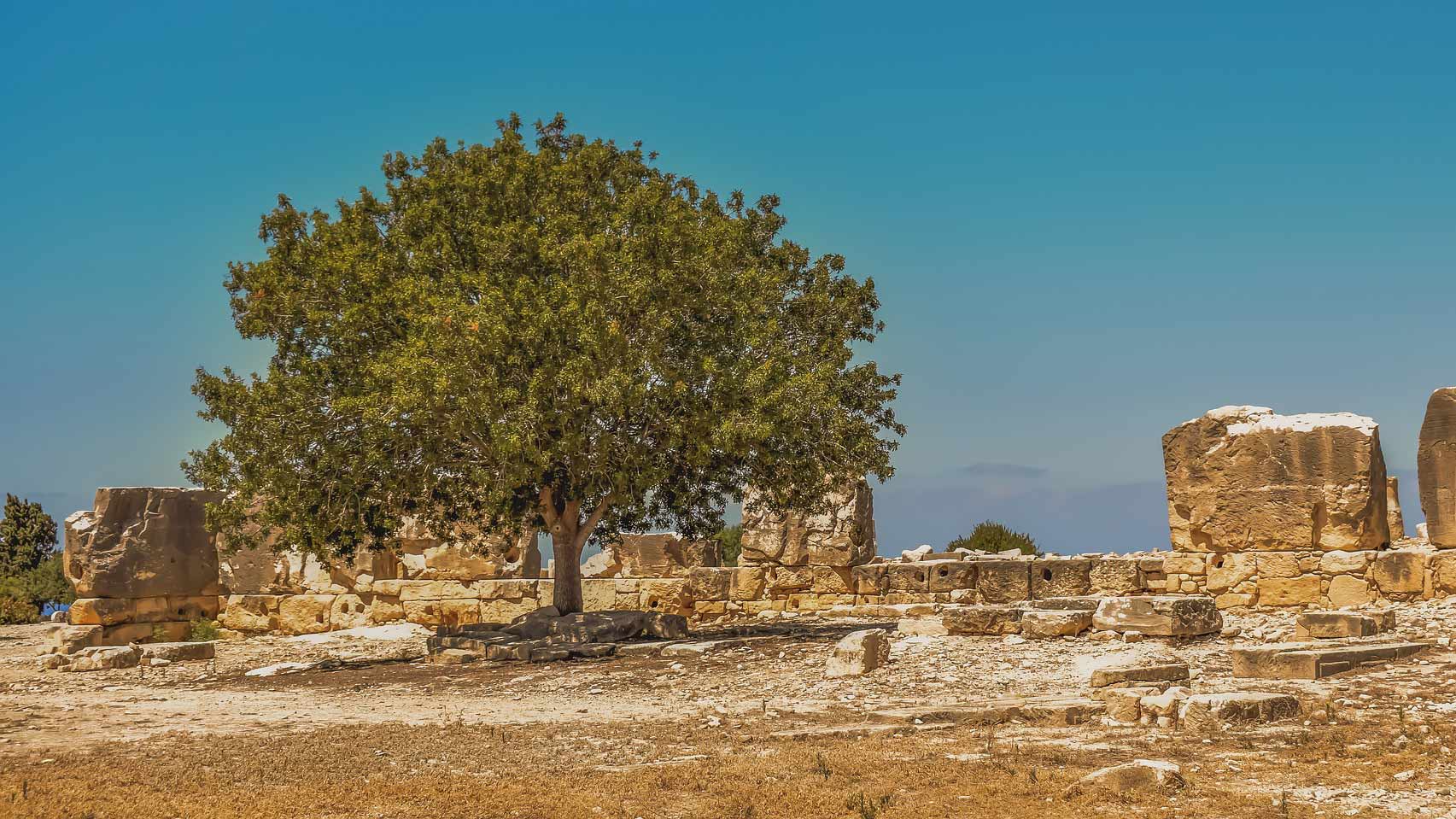 Arbus. Archeologia, scienza e turismo: ecco la conferenza