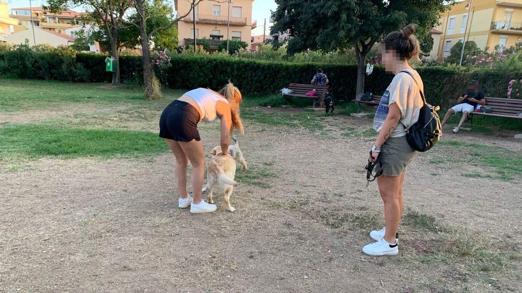 Olbia e le aree per cani: dopo 5 anni di nulla, Nizzi promette 