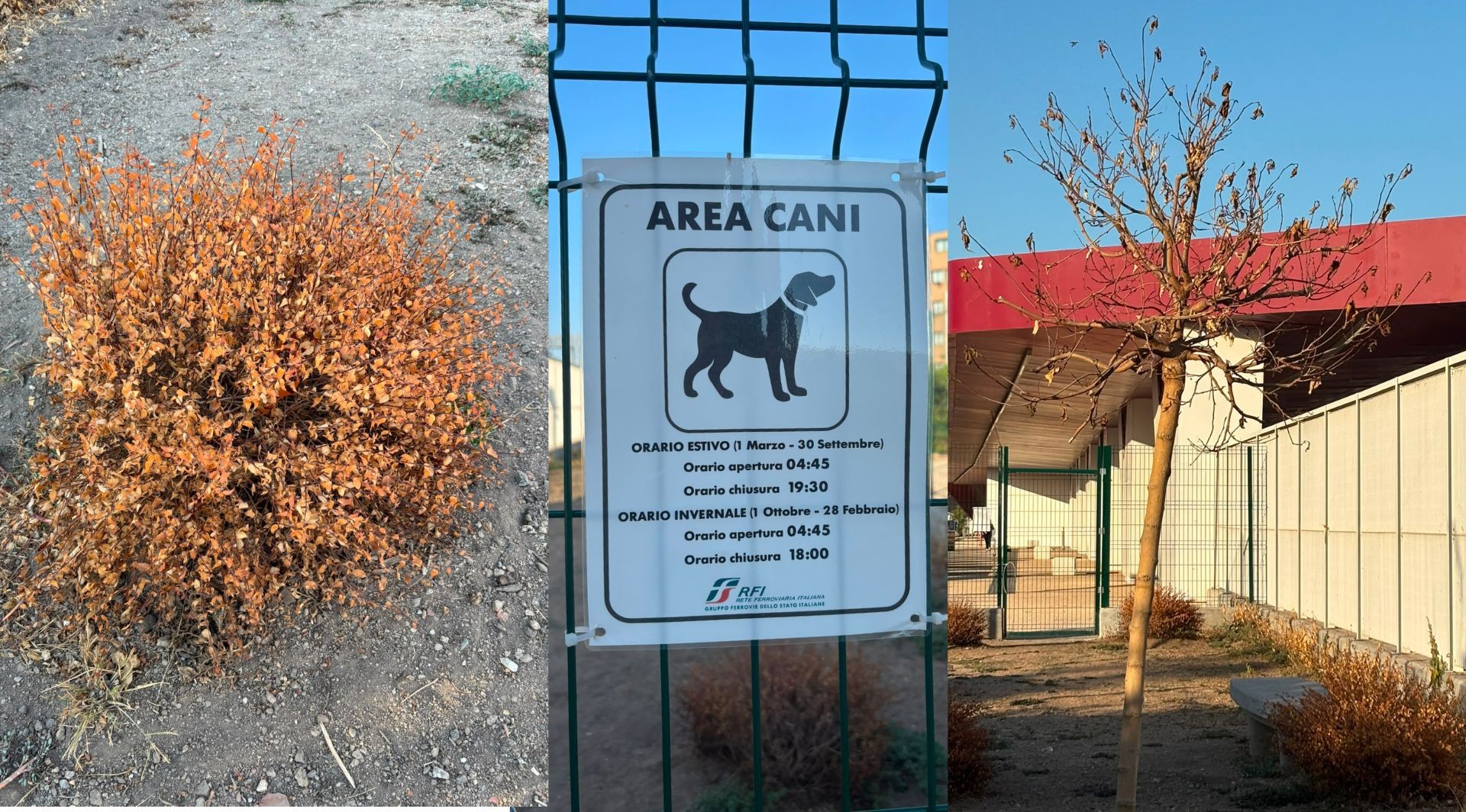 Olbia, area cani alla stazione: prima in Italia ma ultima per il verde