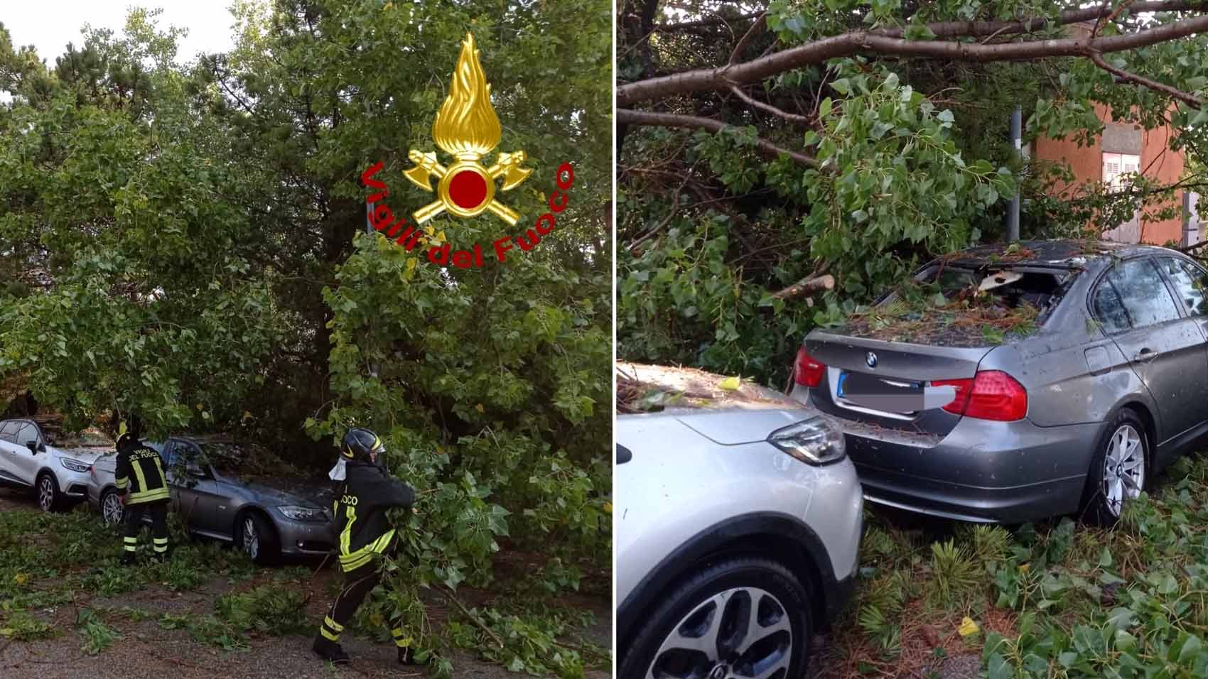 Maltempo in Gallura: alberi caduti, allagamenti e disagi ad Arzachena e La Maddalena