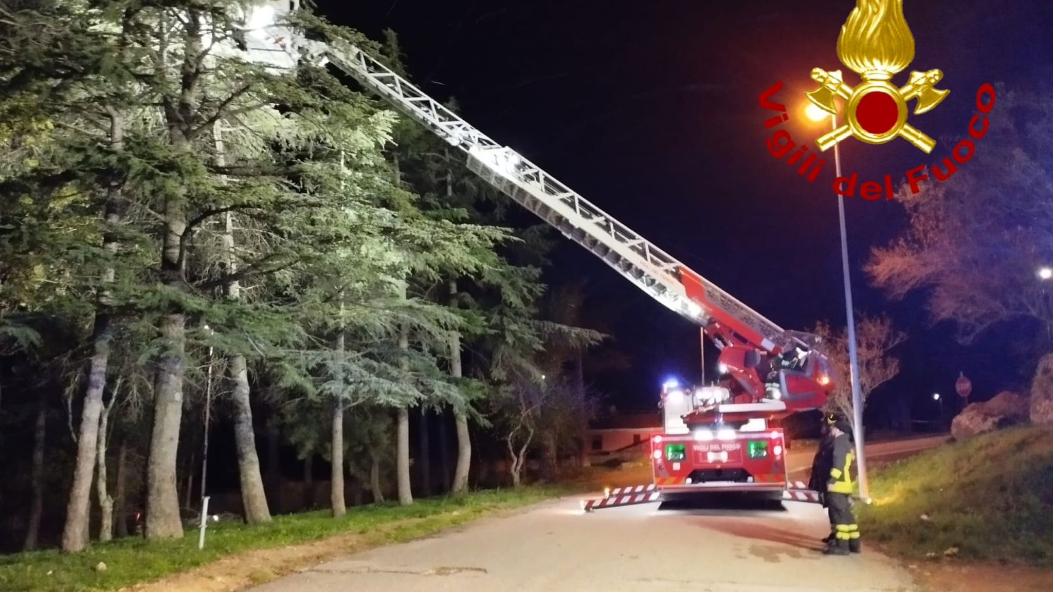 Forte vento, paura per alcuni alberi: sul posto l'autoscala da Olbia