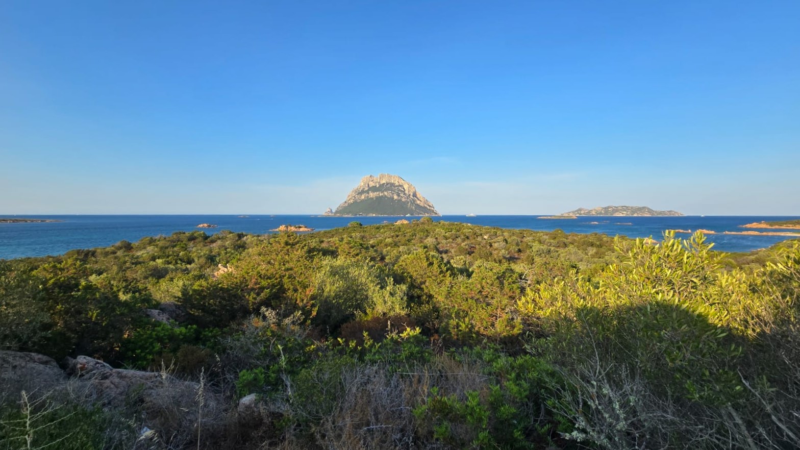 Tavolara Bay, Lipu e WWF si schierano con la Regione al Tar