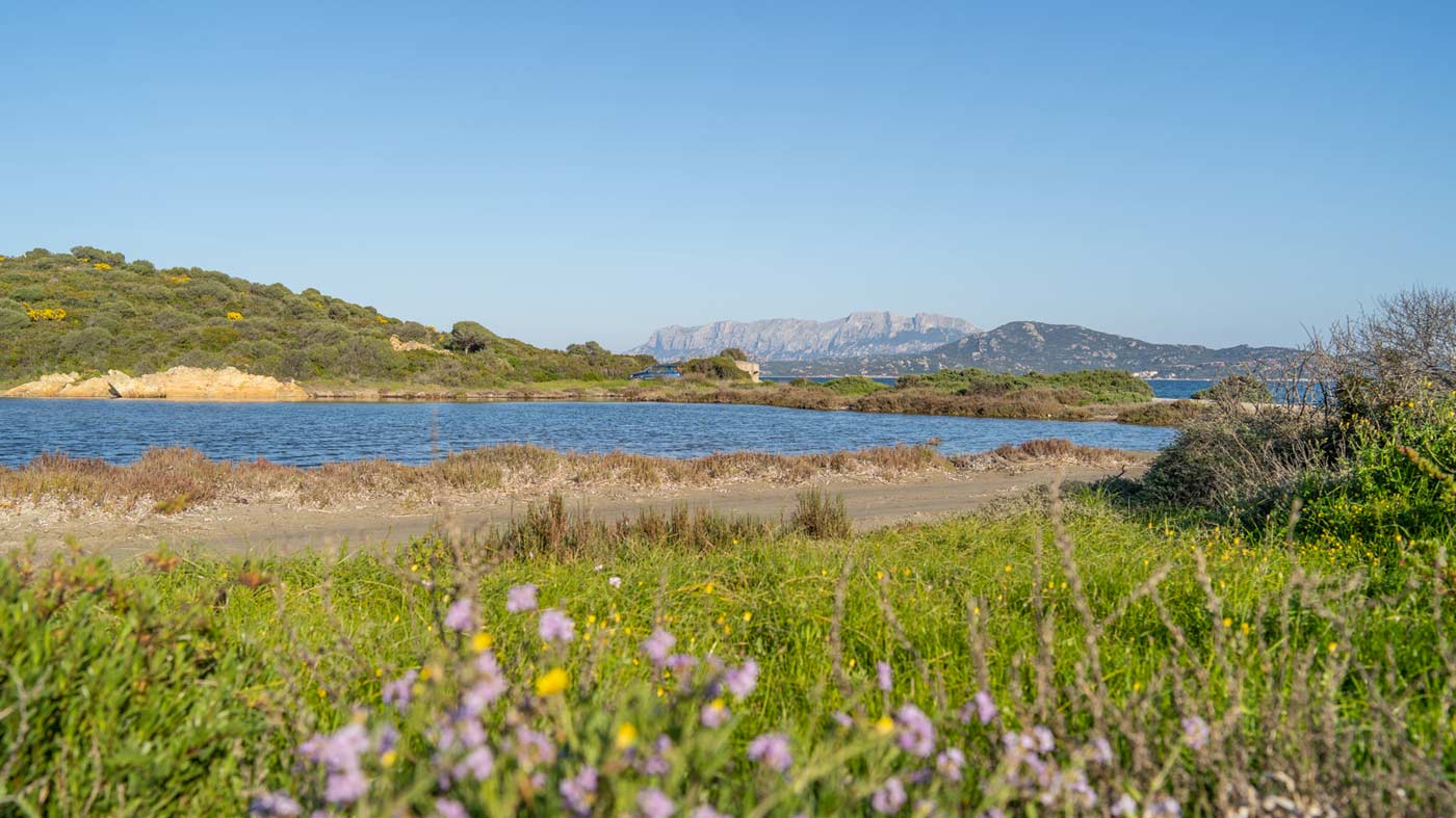Cala Saccaia, opposizione risponde a Nizzi e maggioranza: delusione e domande in sospeso