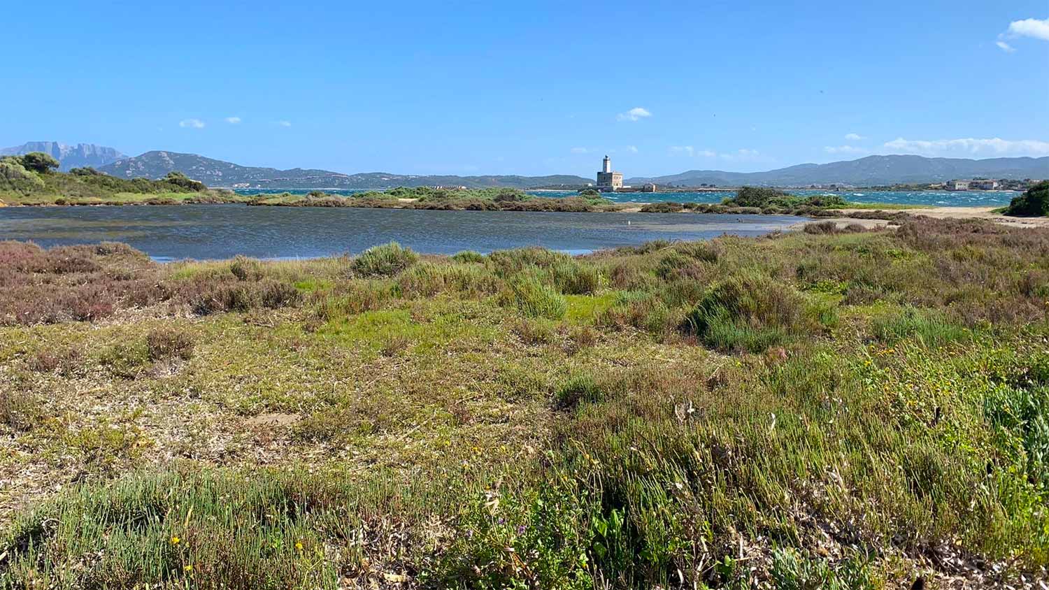 Cala Saccaia: ecco perché sarà quasi impossibile costruire