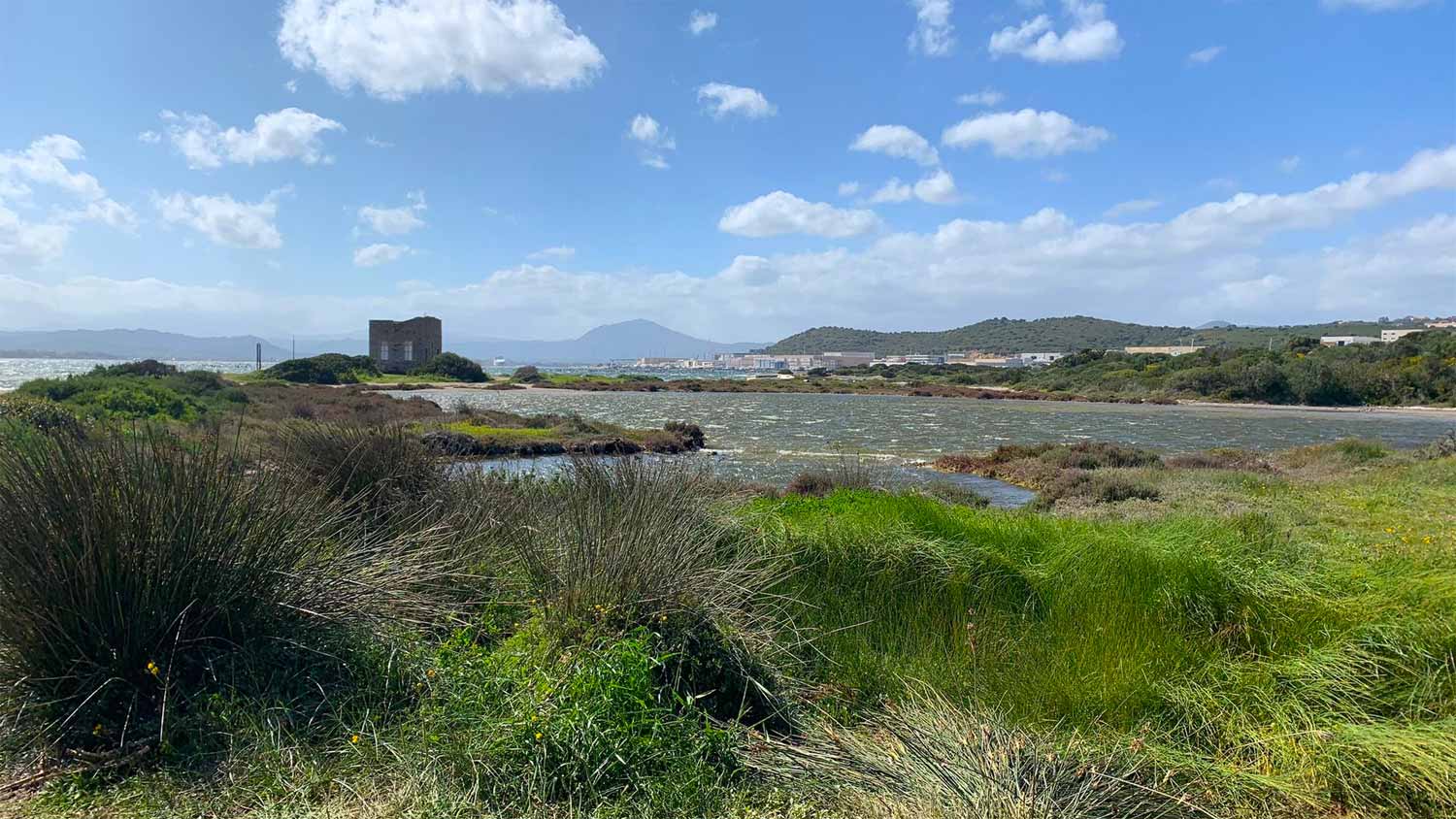 Salviamo Cala Saccaia: la petizione supera le 1000 firme